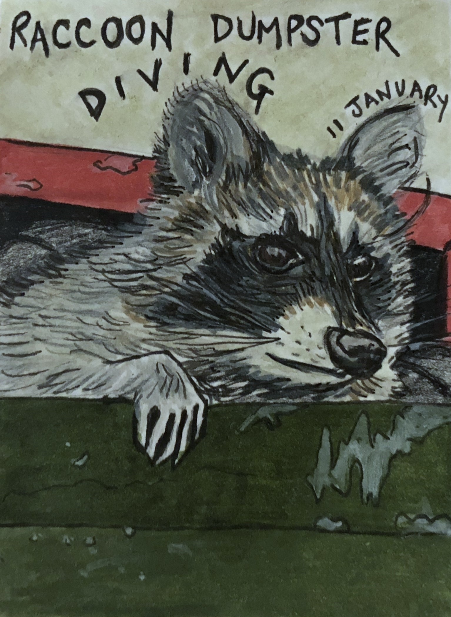 An art journal illustration of a raccoon in a dumpster outside my apartment.