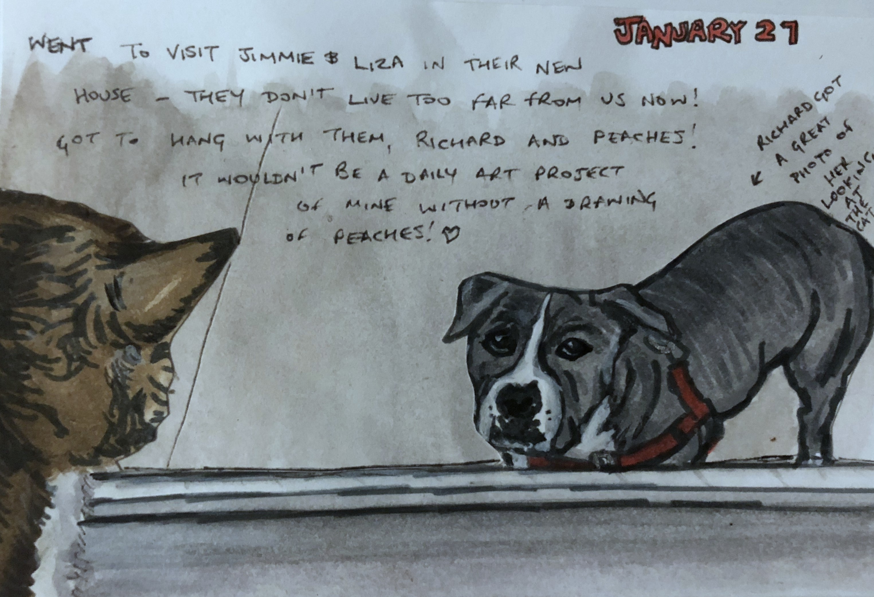 An art journal illustration of a dog outside looking at a cat inside at a friends house.