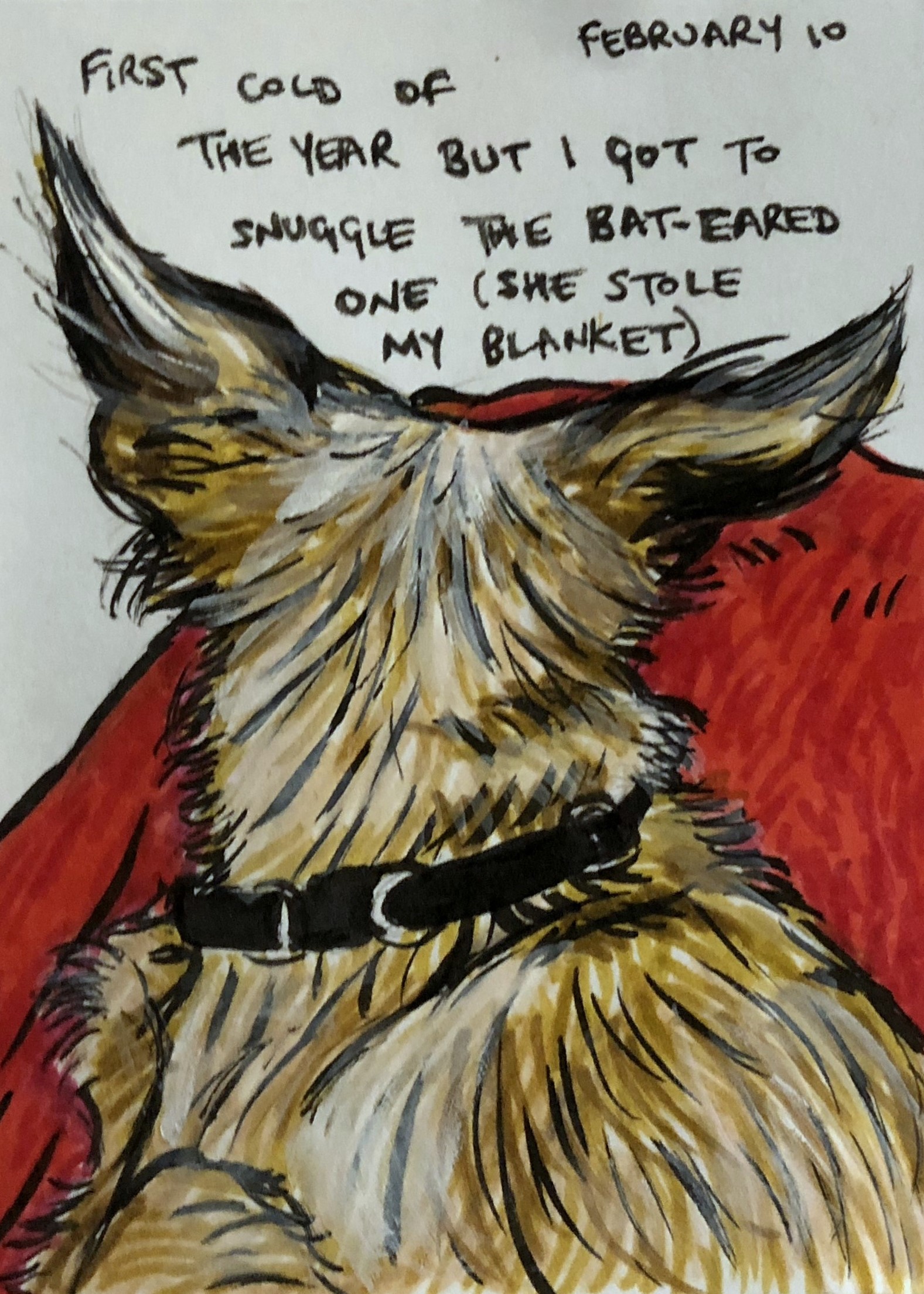 An art journal illustration of the back of a dog's head on a red blanket.