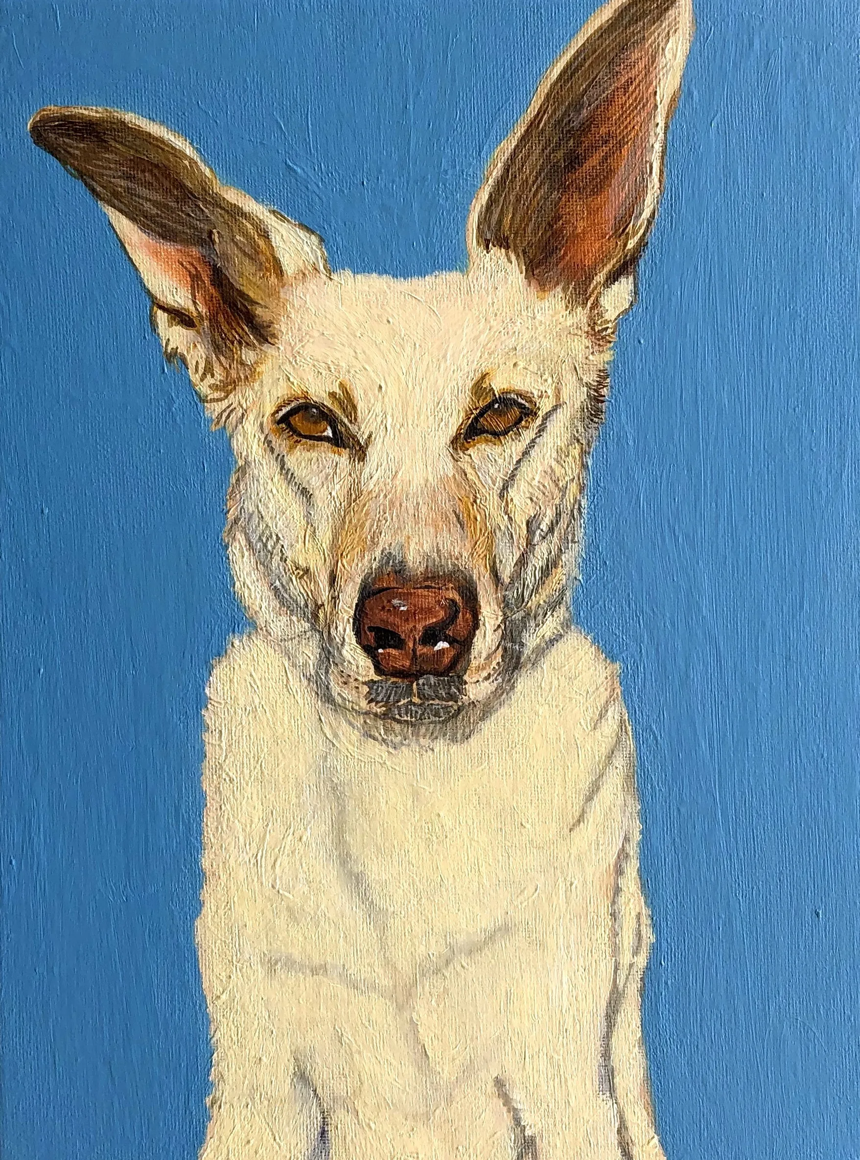 Acrylic paint on canvas, a pet portrait/dog portrait commission for a friend of a friend.