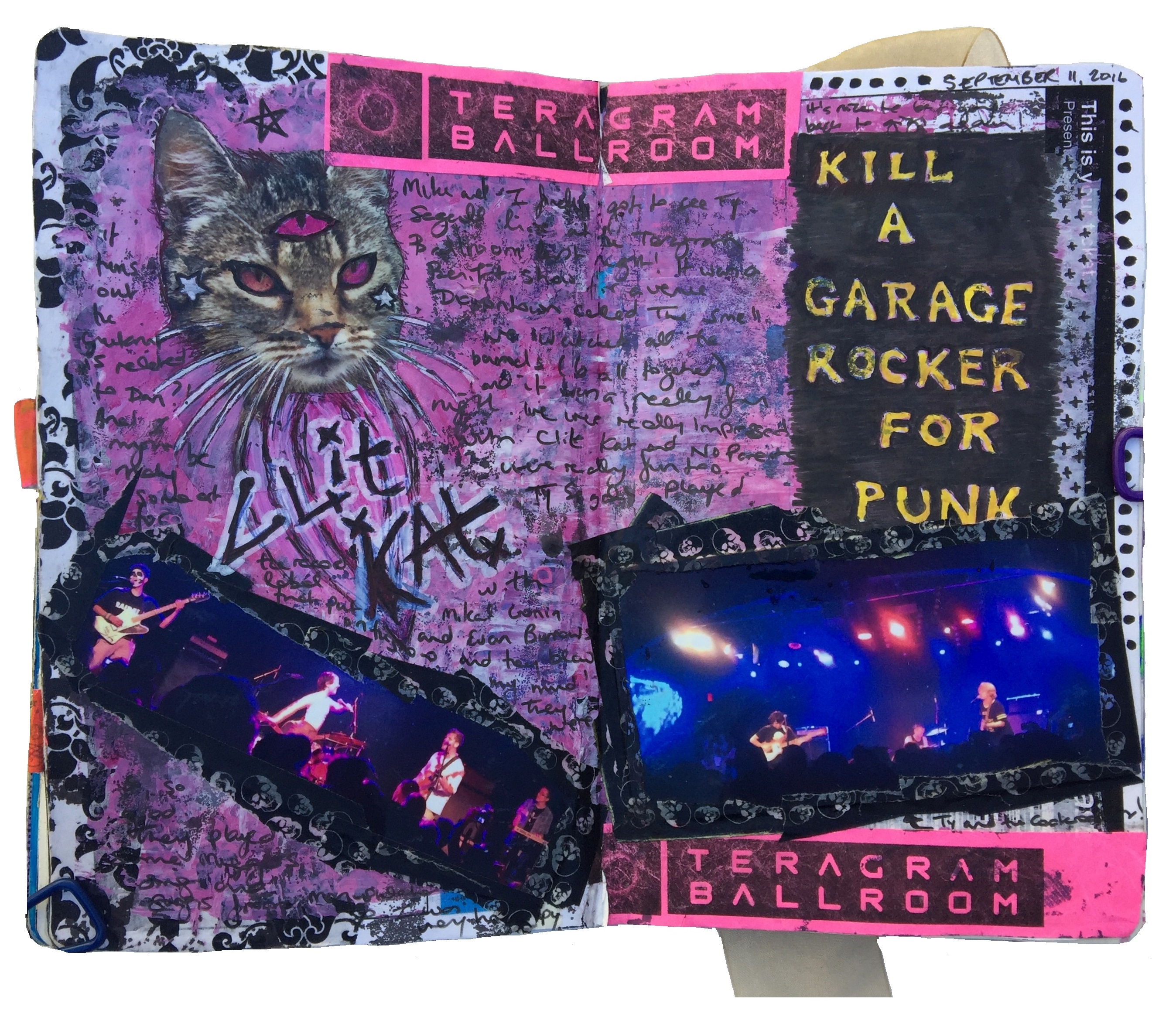 A mixed media art journal page about seeing Ty Segall live in Los Angeles with a three-eyed cat and photographs of bands we saw.