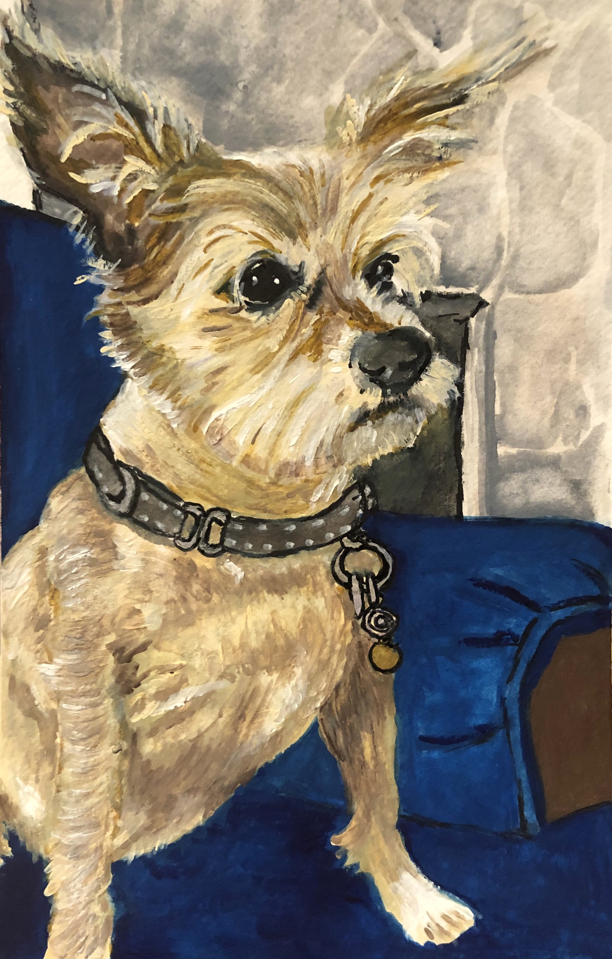 A pet portrait of Aria for my father-in-law with gouache, acrylic markers, ink, and watercolor pencils.
