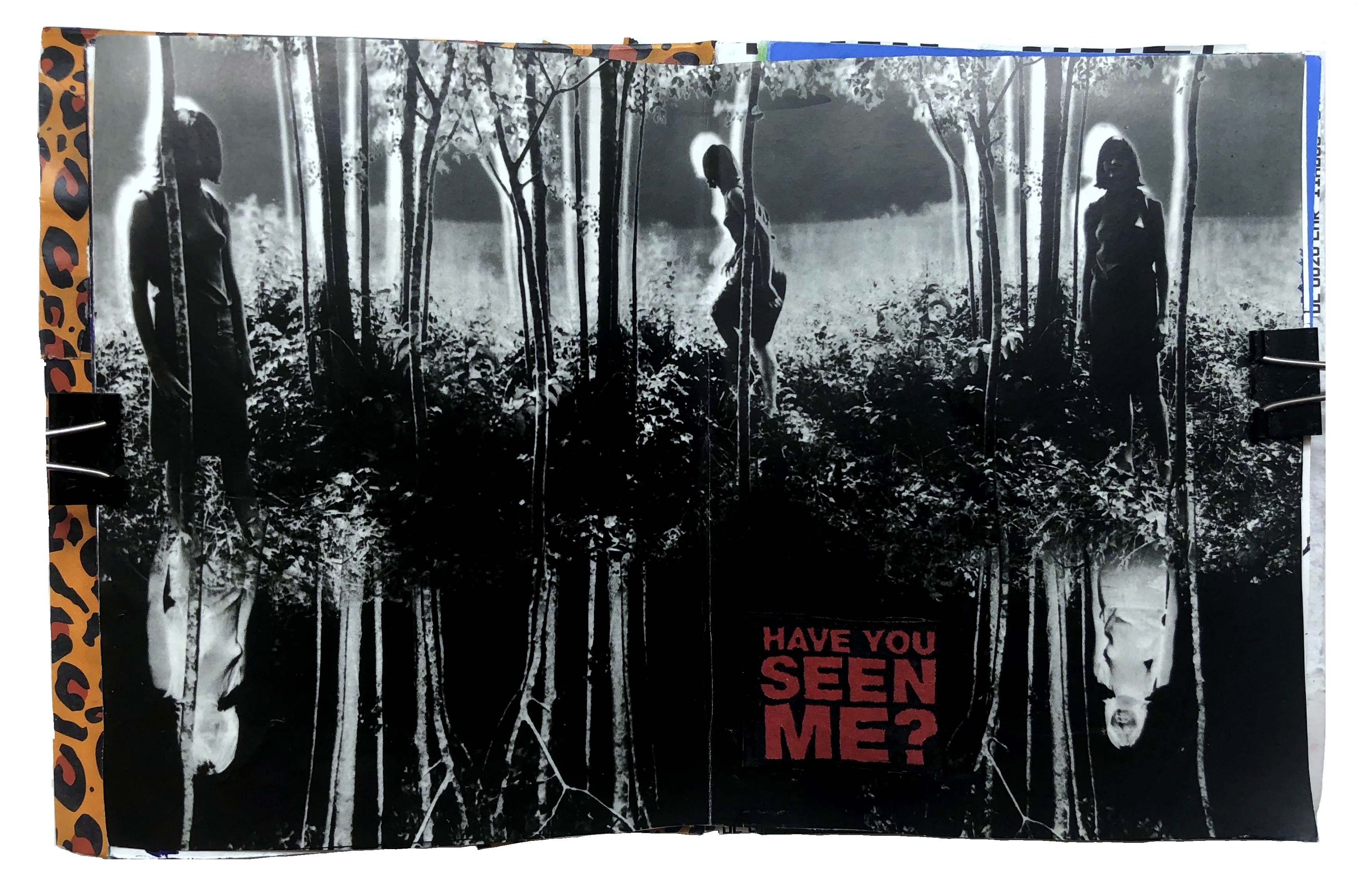 A mixed media art journal collage of a woman in woods with an inverted mirror image of herself and the words have you seen me? underneath. The image is Small Woods Where I Met Myself (1967) by Jerry Uelsmann. I rarely use other people's images in my journals these days but I thought it summed up how I was feeling.