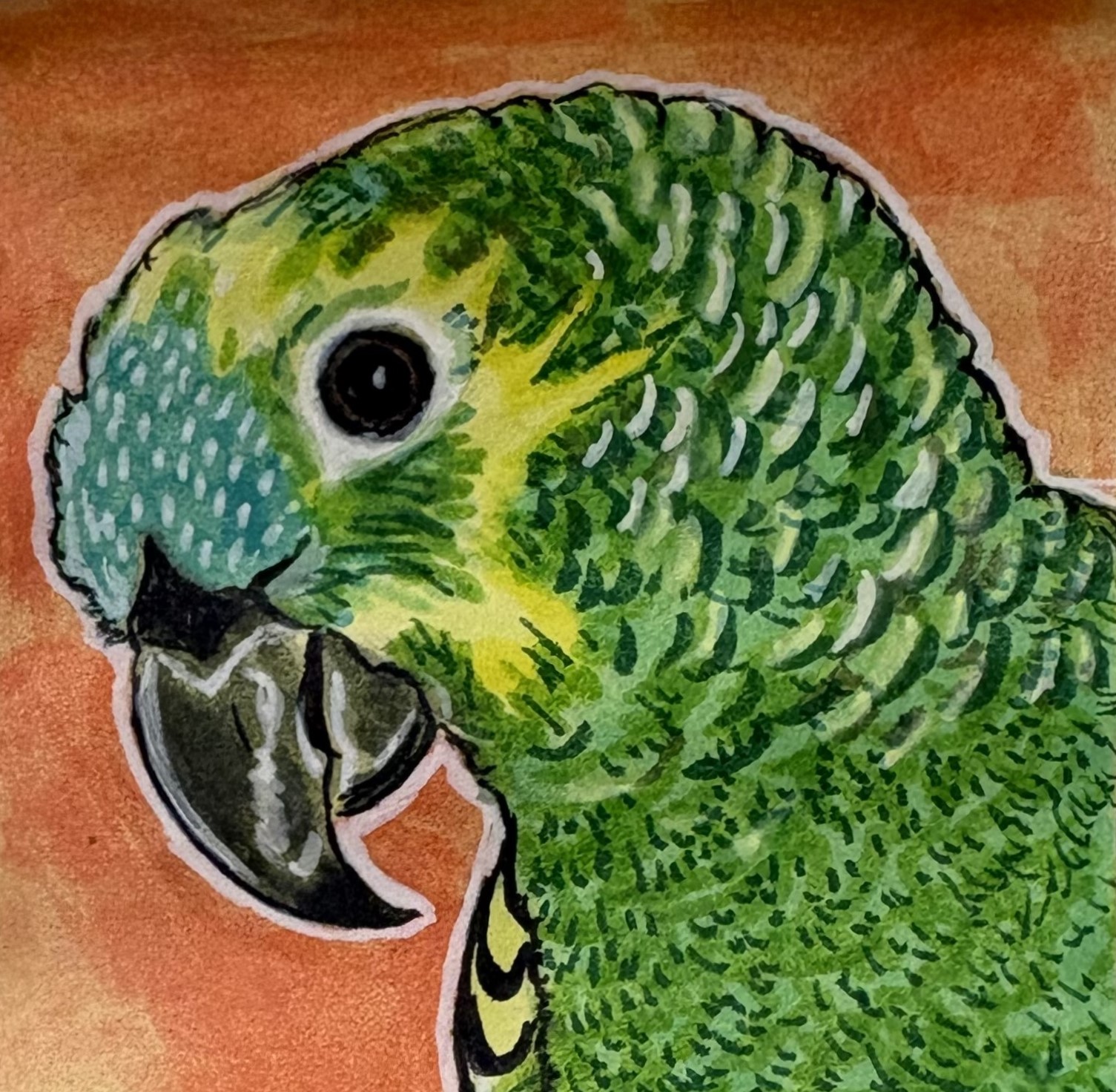 Sweetie Pie. An illustration of a colorful parrot on a post-it note.