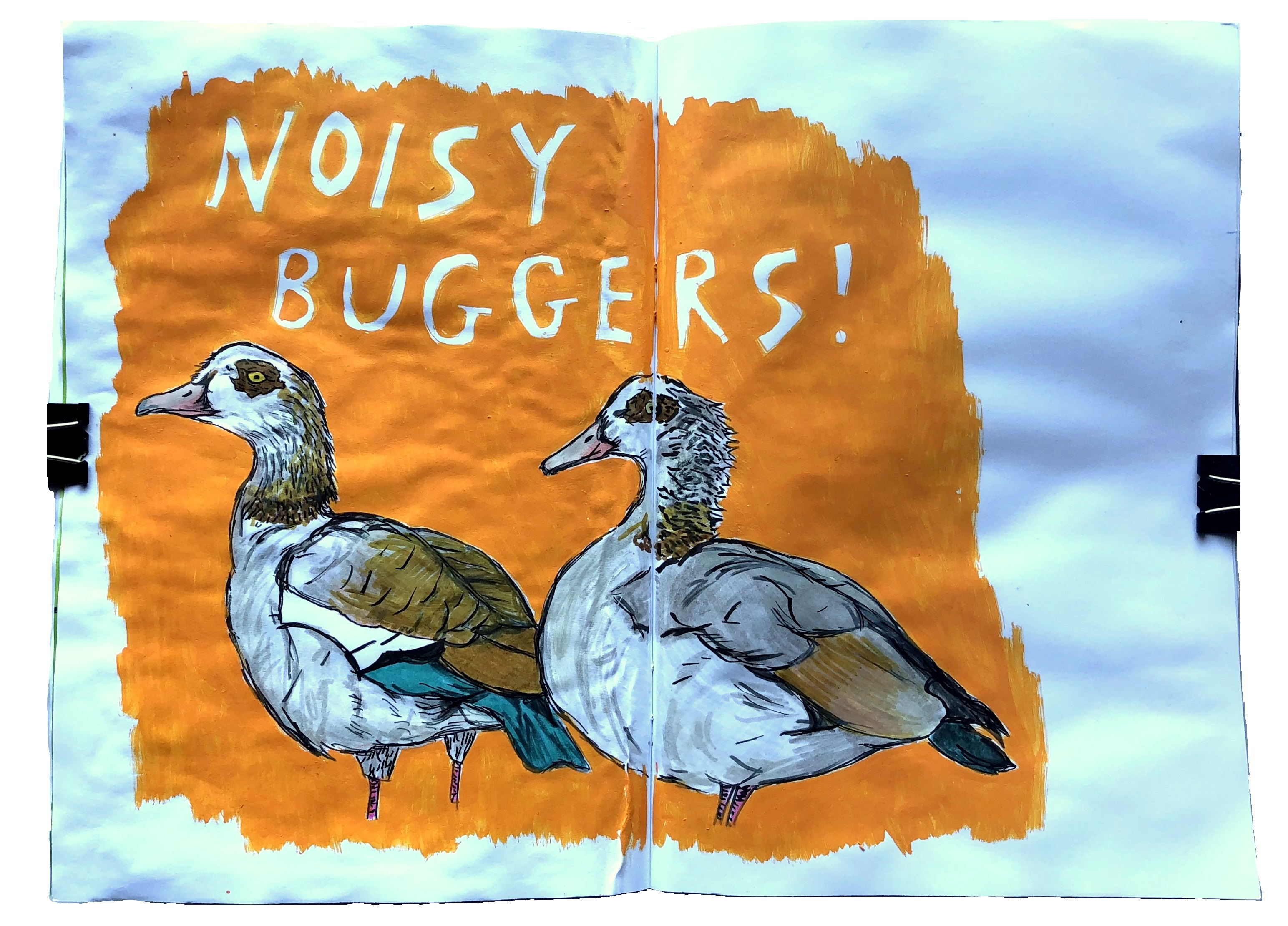 An art journal illustration of Egyptian geese with the words noisy buggers! above them.