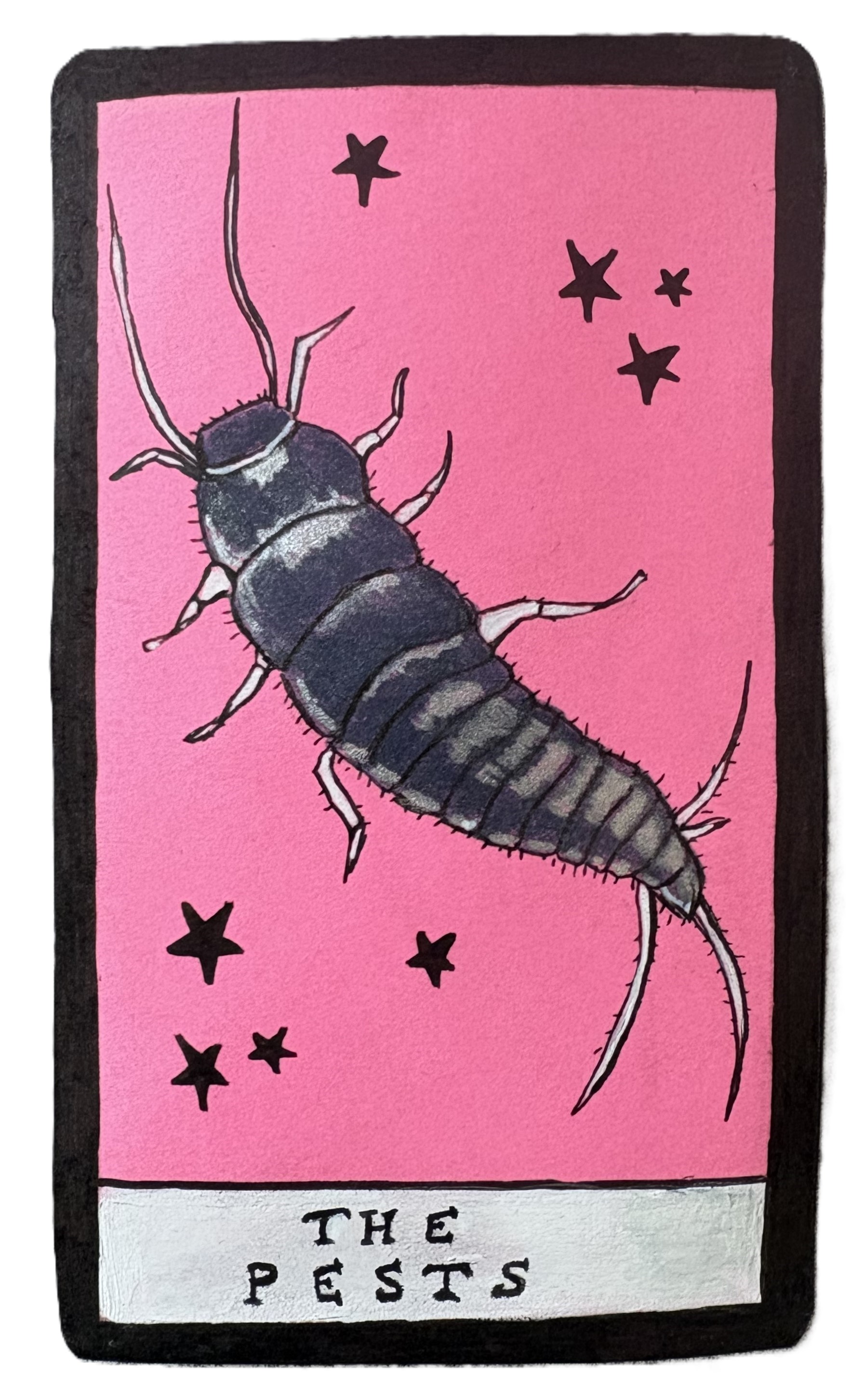 The Pests with a drawing of a silverfish.
