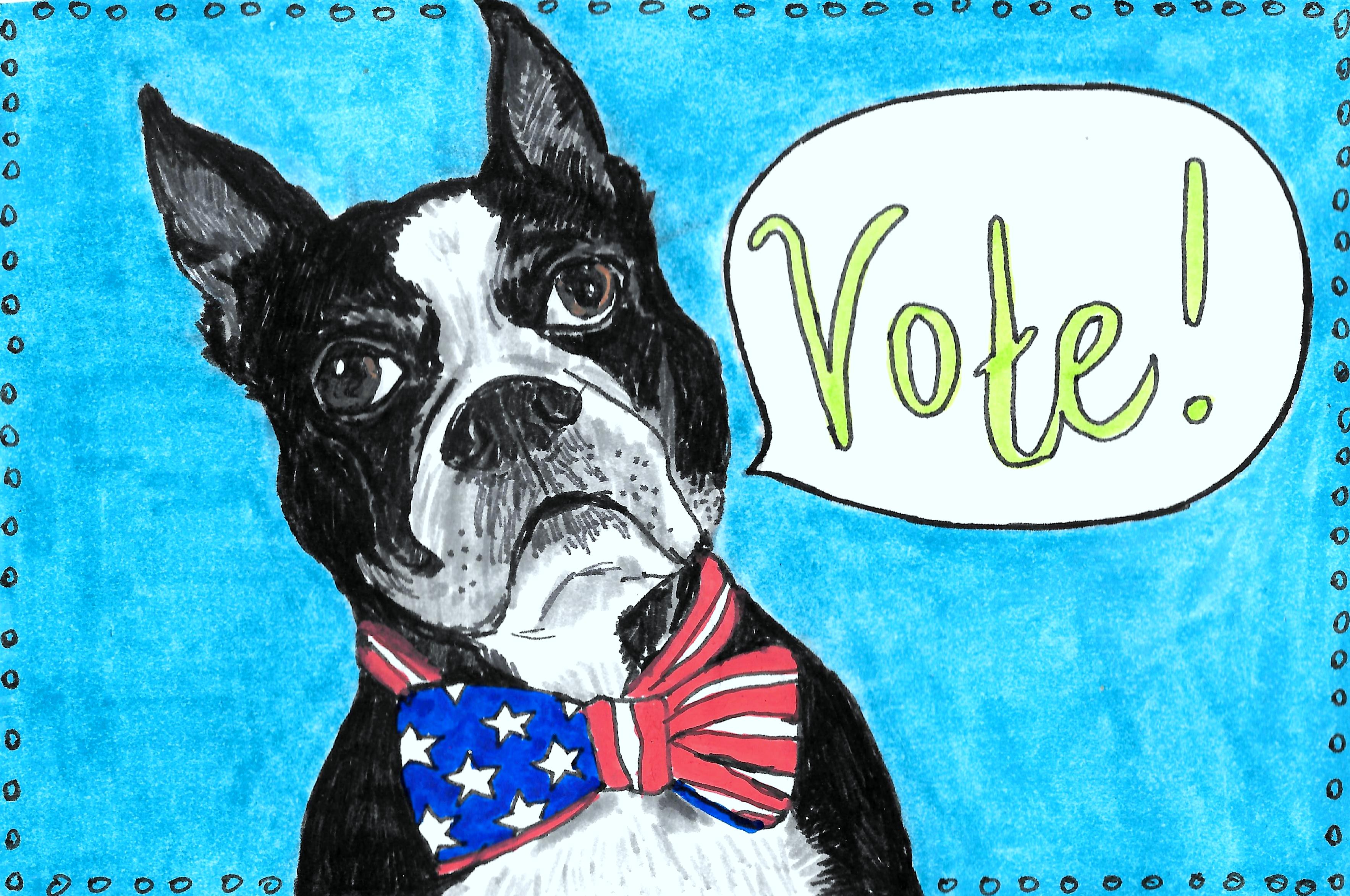 Postcards to Voters (June 2020)